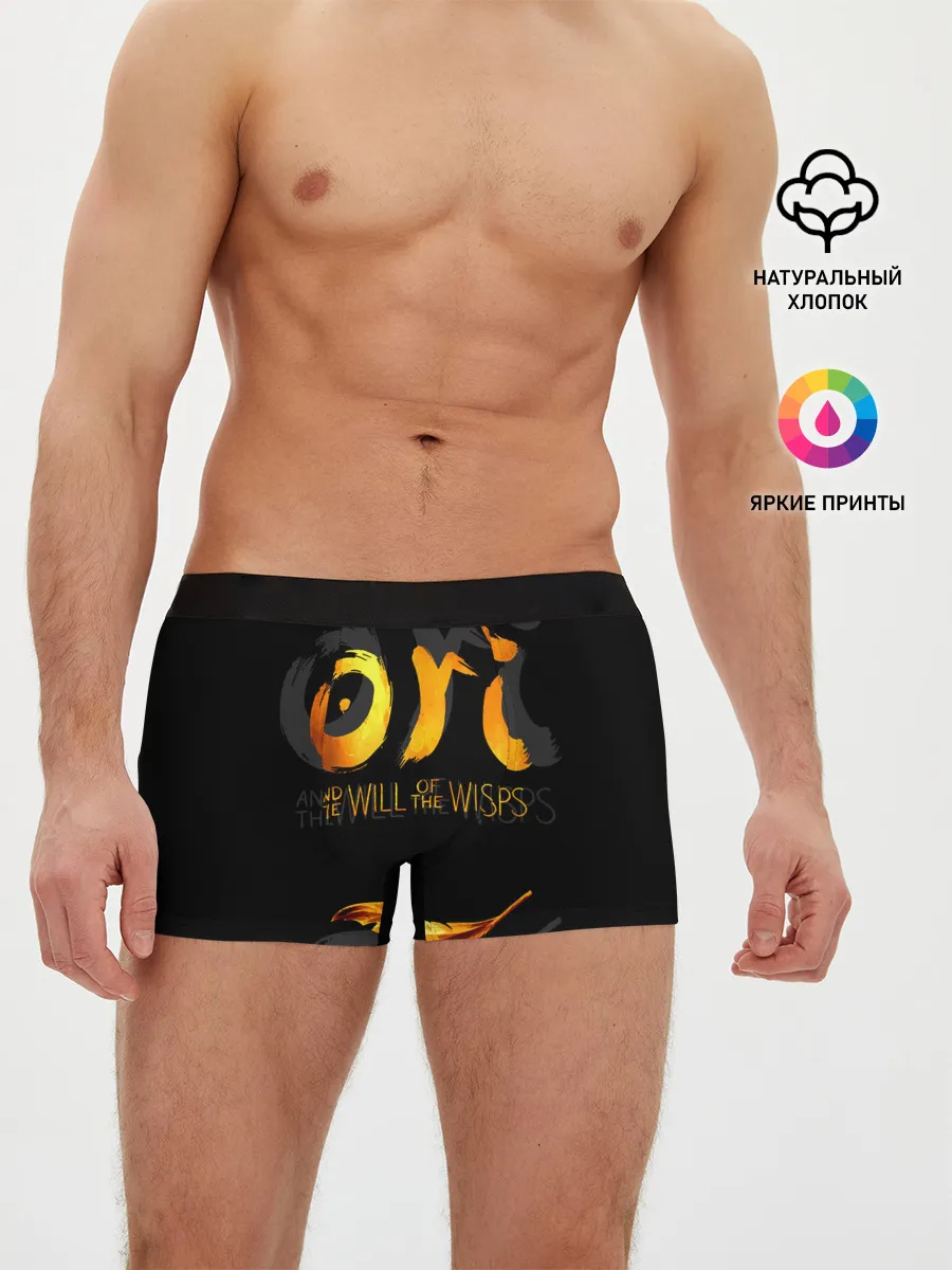 Мужские трусы боксеры / Ori and the Will of the Wisps