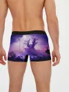 Мужские трусы боксеры / Ori and the Will of the Wisps