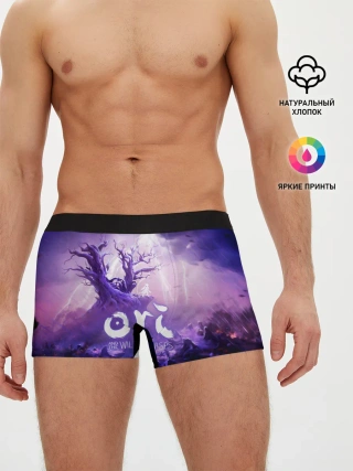 Мужские трусы боксеры / Ori and the Will of the Wisps