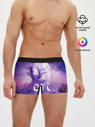 Мужские трусы боксеры / Ori and the Will of the Wisps