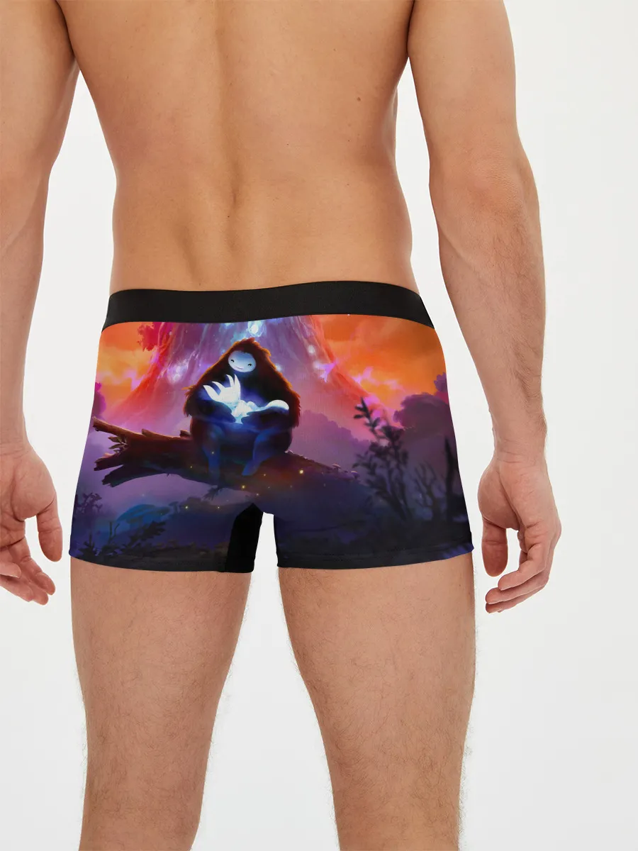 Мужские трусы боксеры / Ori and the Will of the Wisps