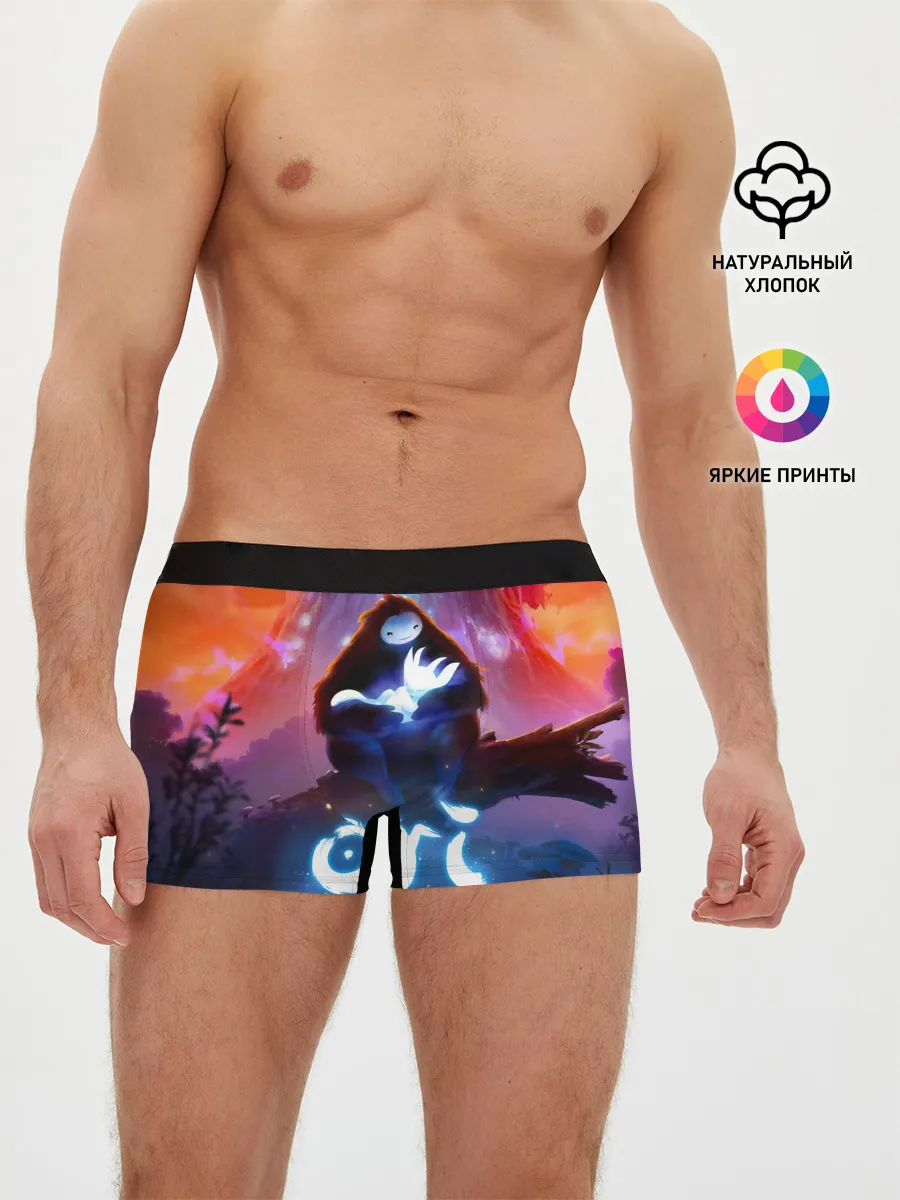 Мужские трусы боксеры / Ori and the Will of the Wisps