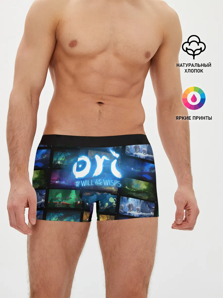 Мужские трусы боксеры / Ori and the Will of the Wisps