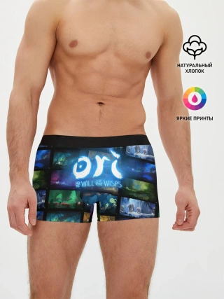 Мужские трусы боксеры / Ori and the Will of the Wisps