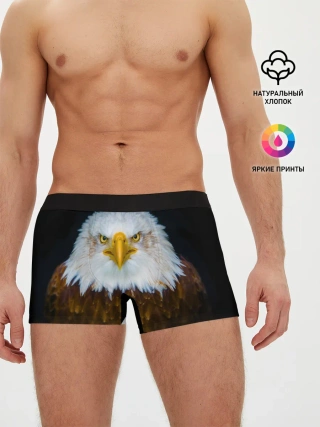 Мужские трусы боксеры / Белоголовый орлан