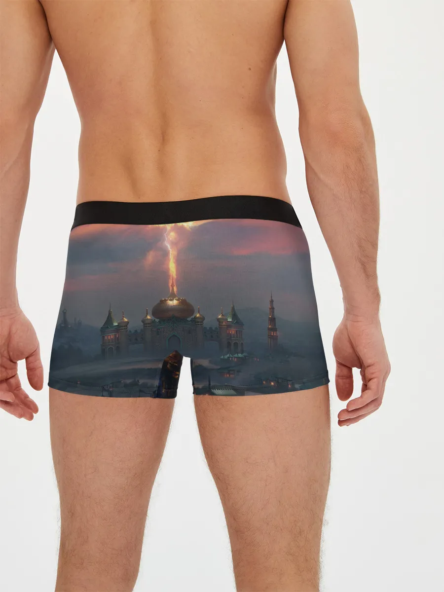 Мужские трусы боксеры / Heroes of Might and Magic | HoM