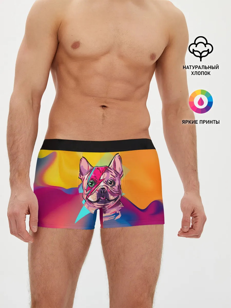 Мужские трусы боксеры / Собака с молнией