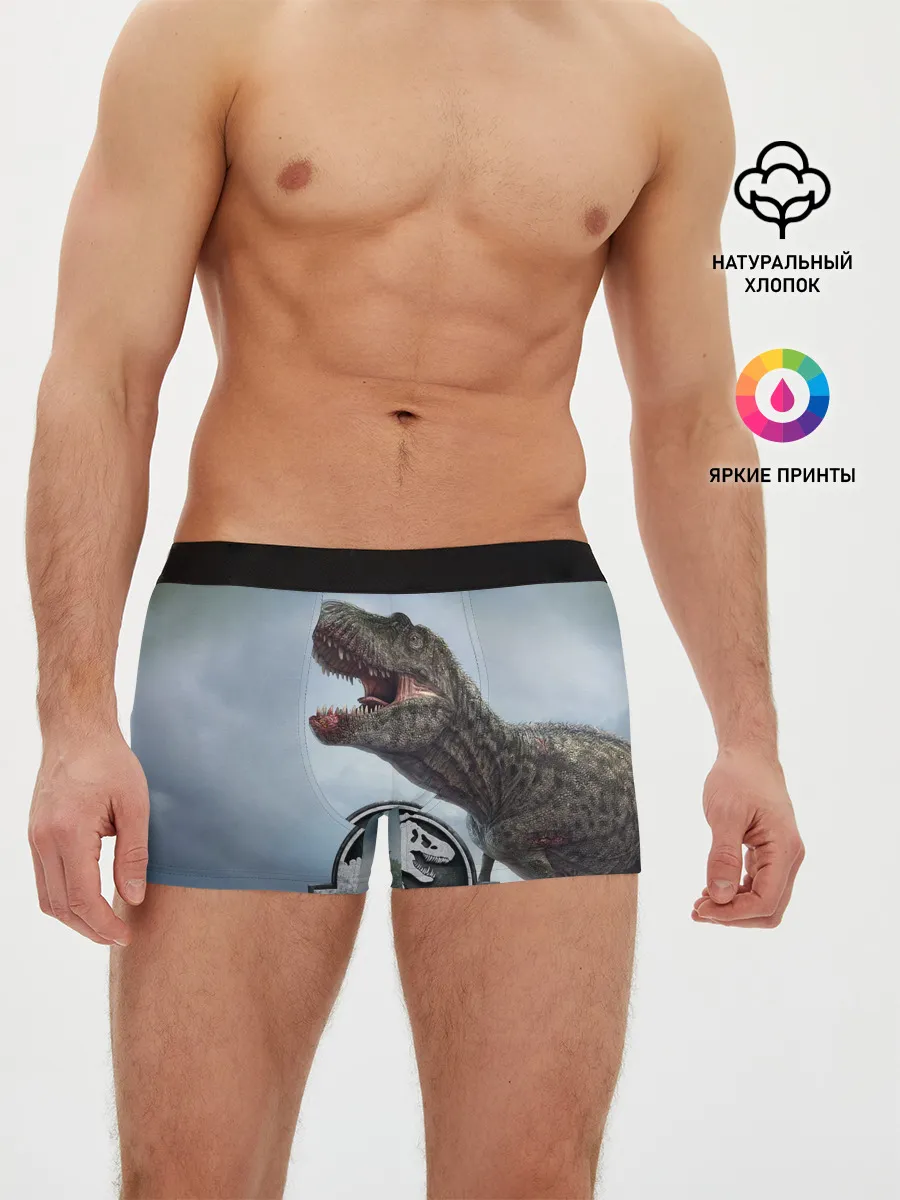 Мужские трусы боксеры / Jurassic World | Мир Юрского периода