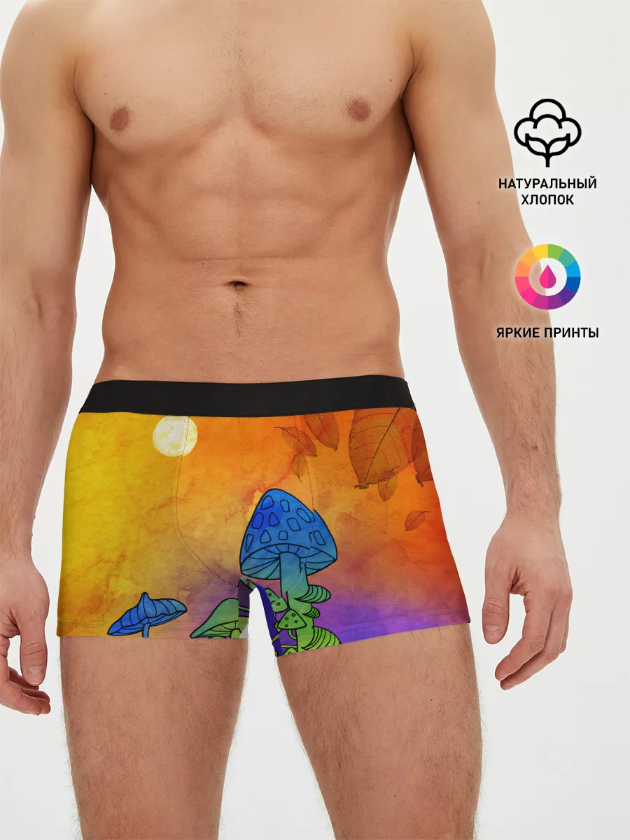 Мужские трусы боксеры / Заколдованный лес