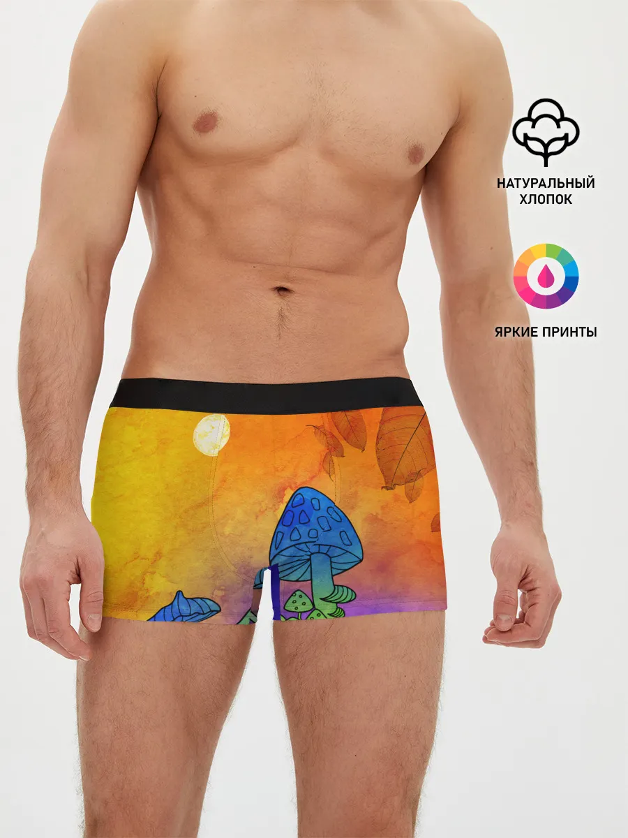 Мужские трусы боксеры / Заколдованный лес