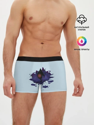 Мужские трусы боксеры / Atlas