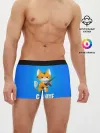 Мужские трусы боксеры / Catnite