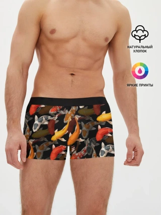 Мужские трусы боксеры / Карпы кои | Японские карпы