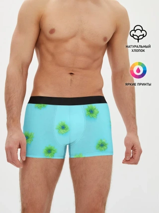 Мужские трусы боксеры / Зеленые Цветочки