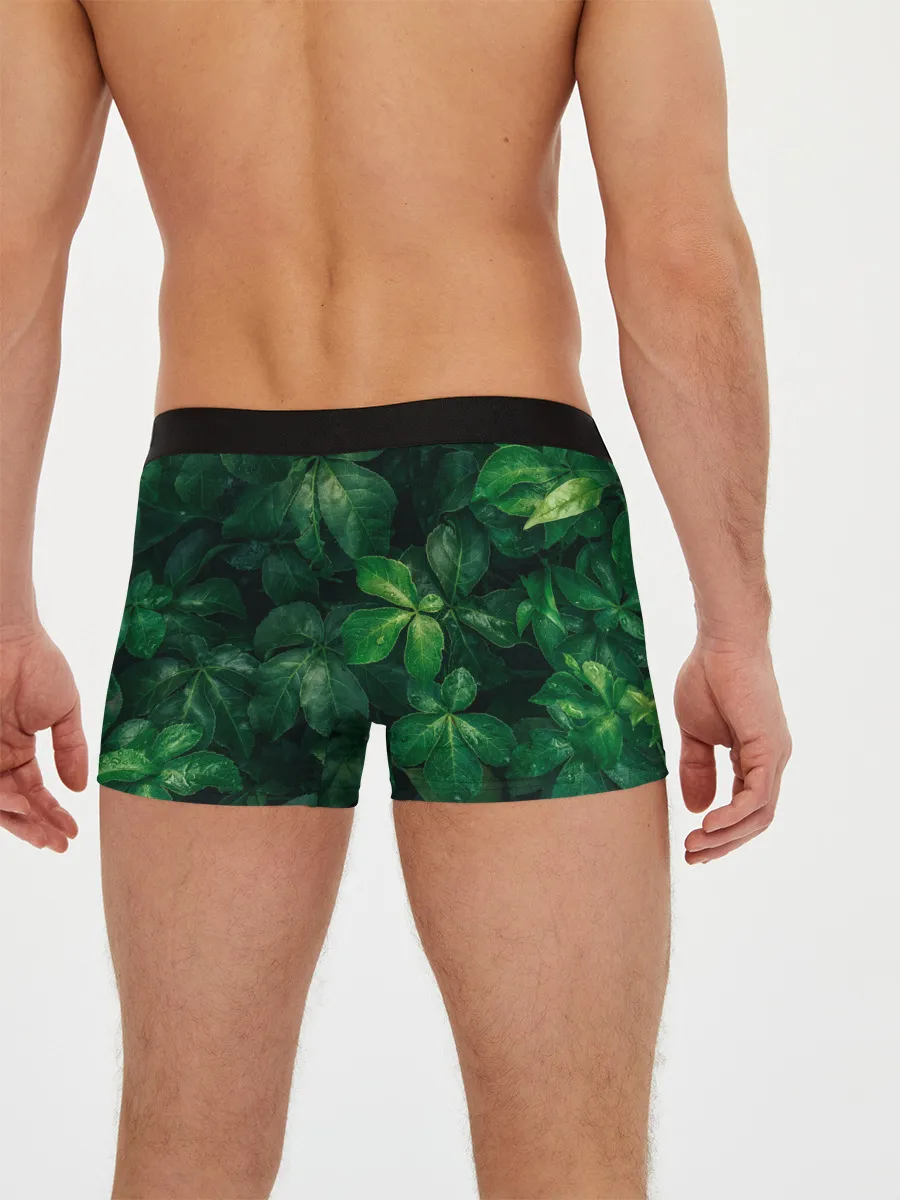 Мужские трусы боксеры / Тропическая листва | Тропики