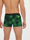 Мужские трусы боксеры / Тропическая листва | Тропики