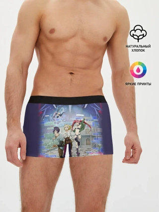 Мужские трусы боксеры / Full Dive RPG Poster