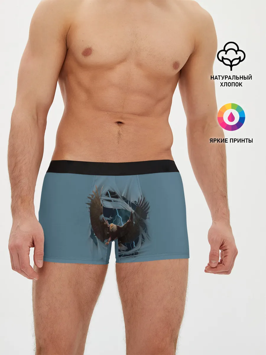 Мужские трусы боксеры / ОРЕЛ СКВОЗЬ ТКАНЬ