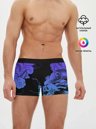 Мужские трусы боксеры / Дракон | Dragon