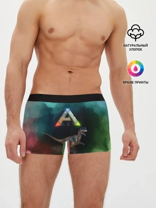 Мужские трусы боксеры / Ark Survival | Арк Сурвивал