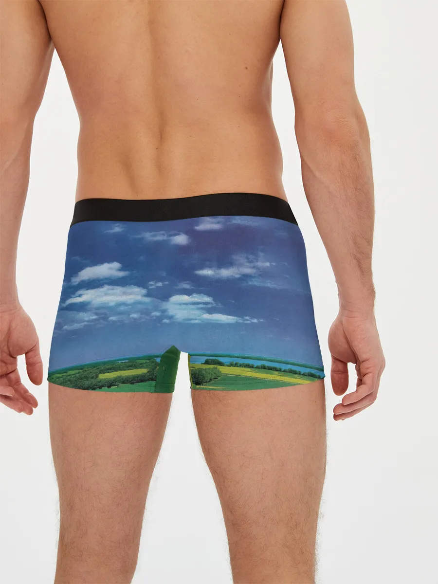 Мужские трусы боксеры / Earthling - David Bowie