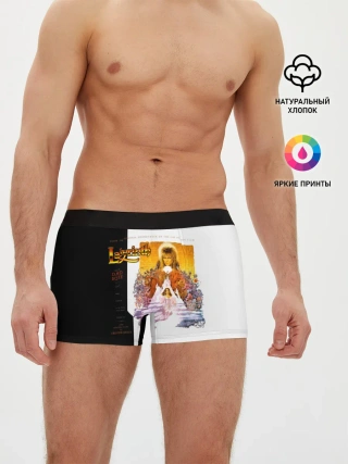 Мужские трусы боксеры / Labyrinth - David Bowie