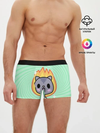 Мужские трусы боксеры / Toca Boca Cat