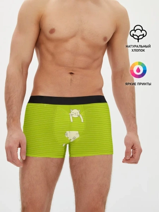 Мужские трусы боксеры / Котик запутался в нитках