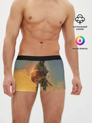 Мужские трусы боксеры / Винланд стоит на скале сага
