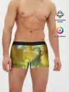 Мужские трусы боксеры / Ori | Ori and the Will of the Wisps