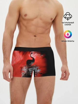 Мужские трусы боксеры / Speak & Spell - Depeche Mode