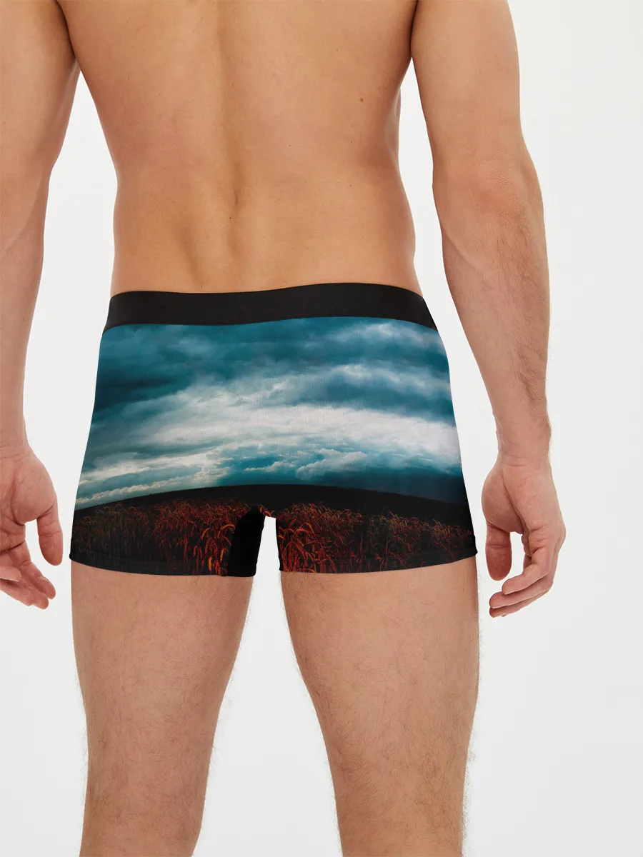 Мужские трусы боксеры / A Broken Frame - Depeche Mode