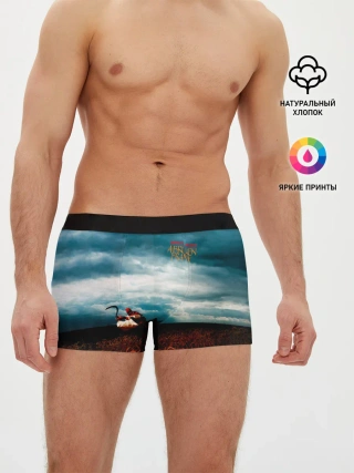 Мужские трусы боксеры / A Broken Frame - Depeche Mode