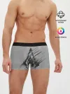 Мужские трусы боксеры / Знак Ассасинов
