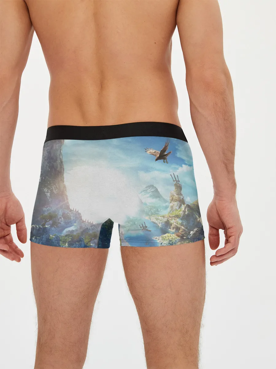 Мужские трусы боксеры / Воинственная Кассандра