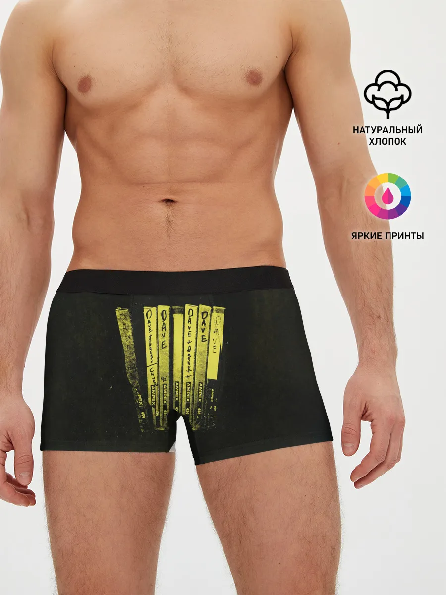 Мужские трусы боксеры / Songs from the Laundry Room - Foo Fighters