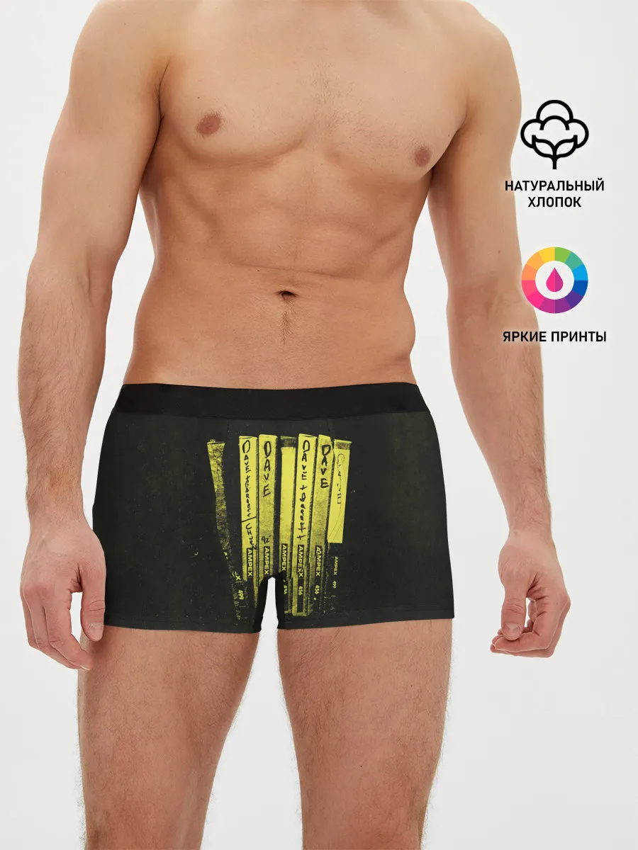 Мужские трусы боксеры / Songs from the Laundry Room - Foo Fighters