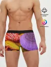 Мужские трусы боксеры / Разноцветные ракушки multicolored seashells