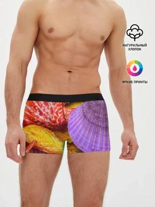 Мужские трусы боксеры / Разноцветные ракушки multicolored seashells