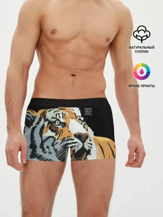Мужские трусы боксеры / Тигр перед атакой
