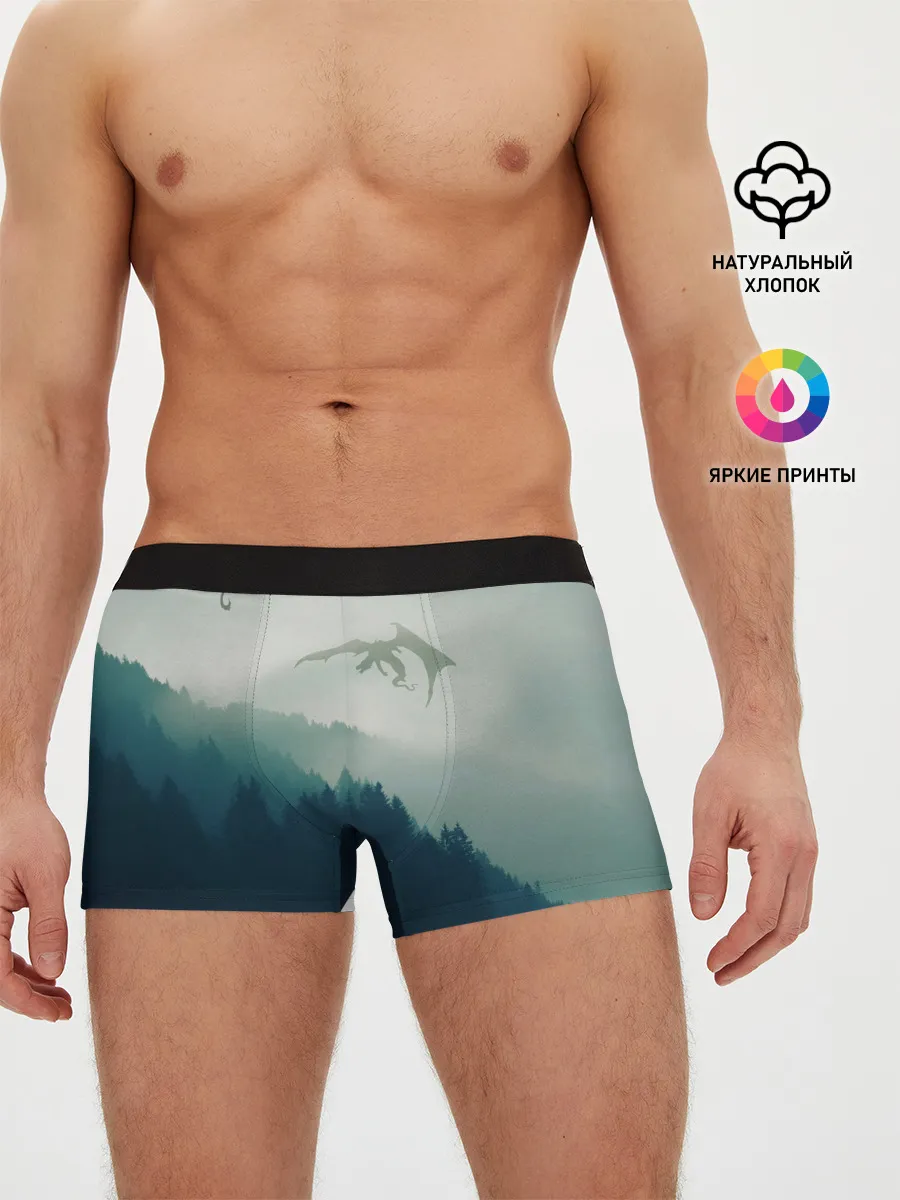 Мужские трусы боксеры / ДРАКОНЫ НАД ЛЕСОМ / DRAGON