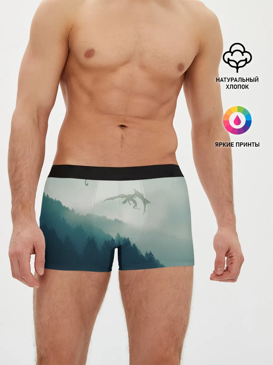 Мужские трусы боксеры / ДРАКОНЫ НАД ЛЕСОМ / DRAGON