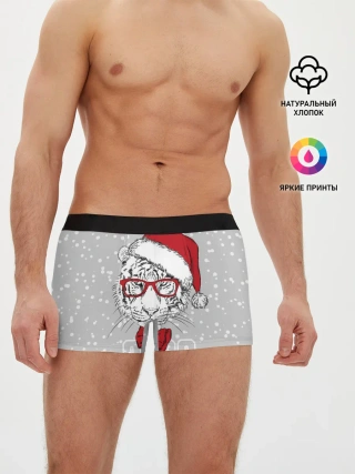 Мужские трусы боксеры / Белый тигр в шапке Санты