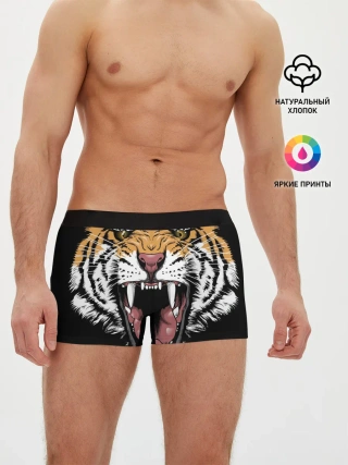 Мужские трусы боксеры / Оскал амурского тигра