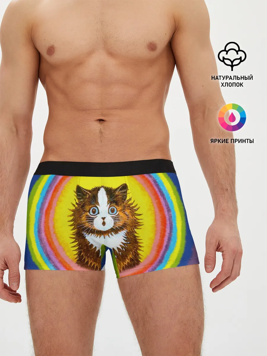 Мужские трусы боксеры / Радужный кот Луиса Уэйна