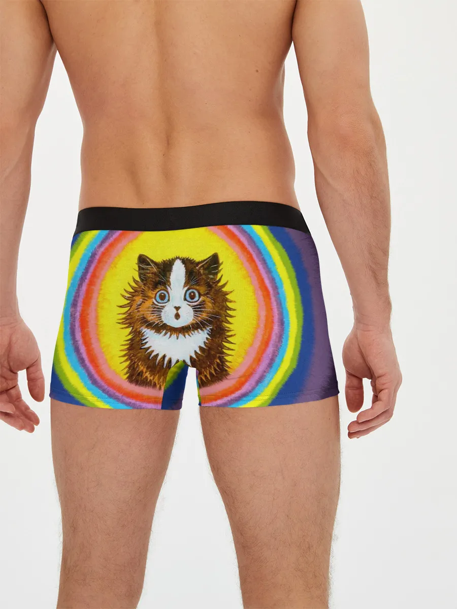 Мужские трусы боксеры / Радужный кот Луиса Уэйна