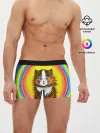Мужские трусы боксеры / Радужный кот Луиса Уэйна