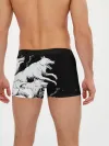 Мужские трусы боксеры / Белые волки
