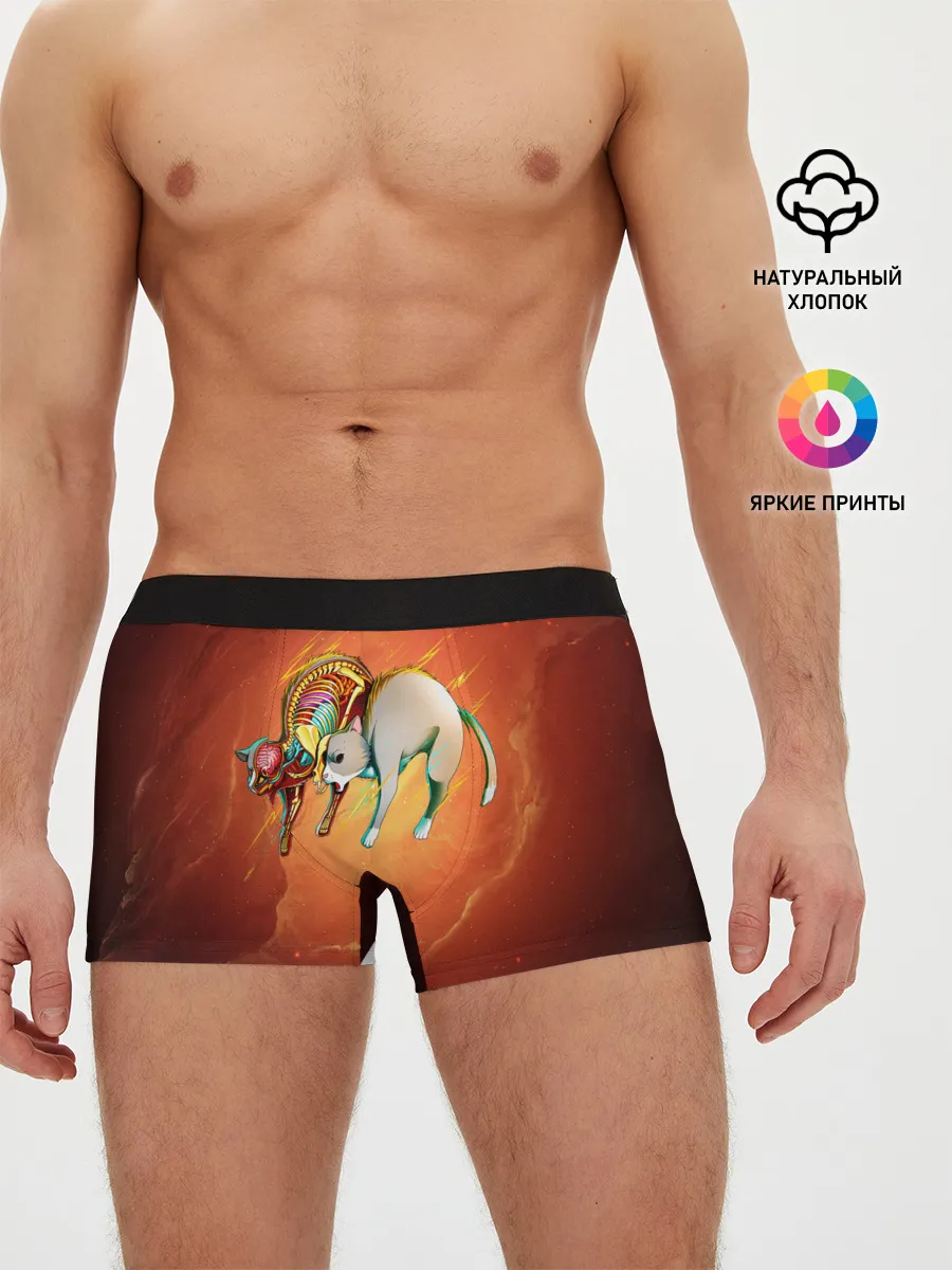 Мужские трусы боксеры / Cat 50/50