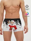 Мужские трусы боксеры / Тигр в шубе Санта Клауса